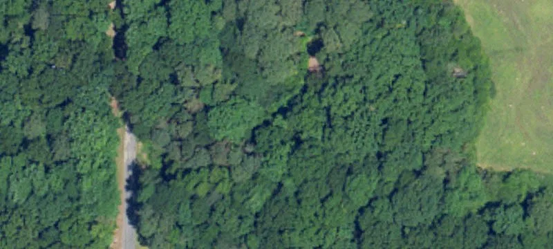 Wooded Residential Development Land