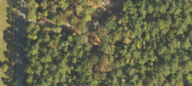 Wooded Recreation and Home Land