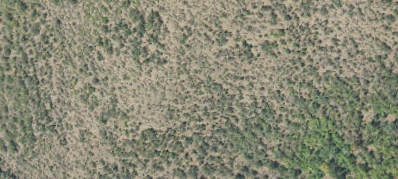 Prepared Mountain Home Lot