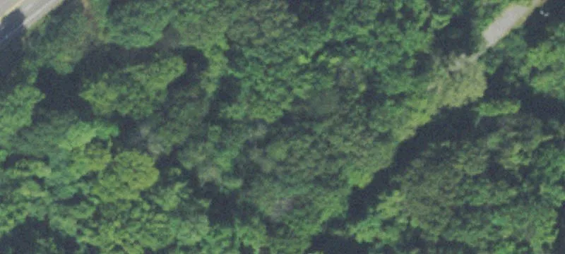 Wooded Residential Development Lot