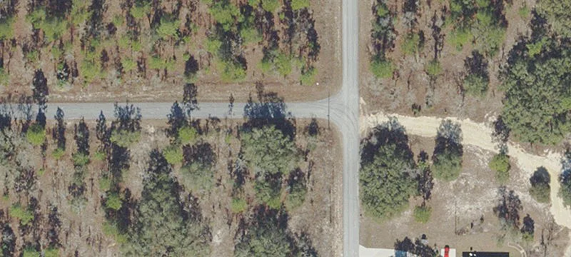 Wooded High-and-Dry Residential Lot
