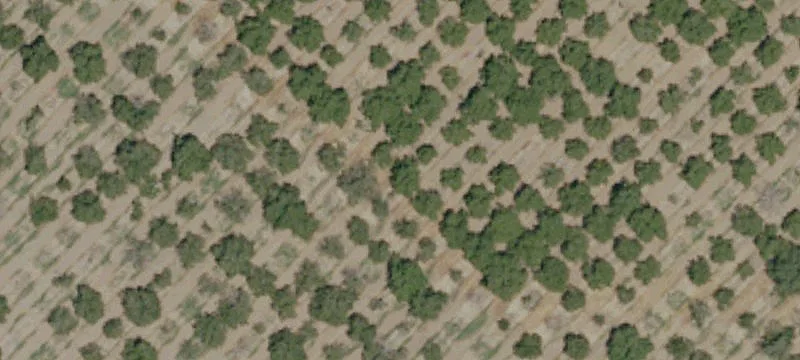 Specialty Property with Long Driveway
