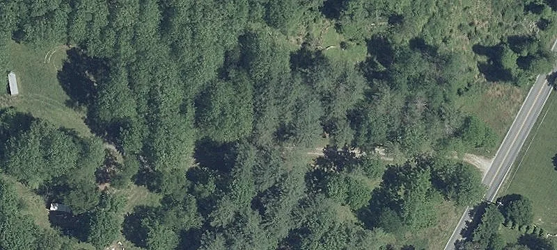 Gated Wooded Land Parcel