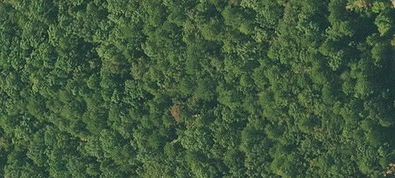 Wooded Residential Land Lot