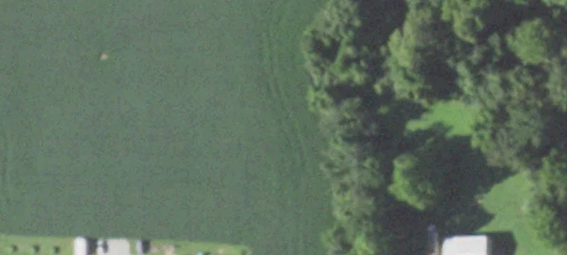 Two Adjoining Residential Lots