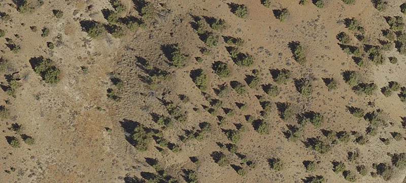 Recreation Land Parcel