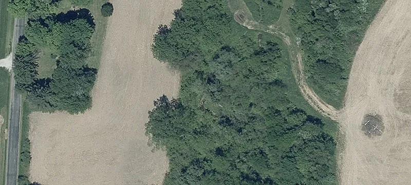 Agricultural Land with Road Frontage