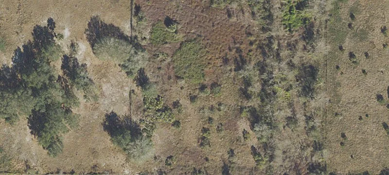 Partially Cleared Residential Land