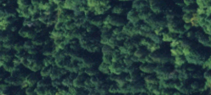 Cleared Waterfront Building Lot