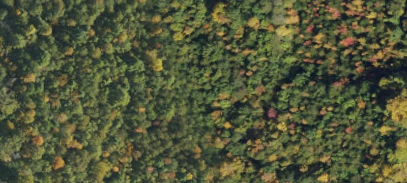 Wooded Residential Building Land