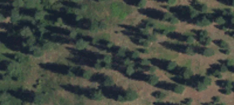 Agricultural Land with Shop