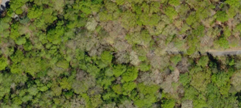 Wooded Cul-de-Sac Homesite