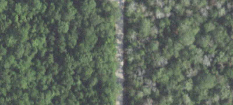 Wooded Residential Land Tract