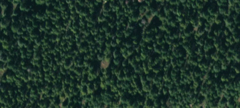 Rolling Hills Hunting and Recreation Land