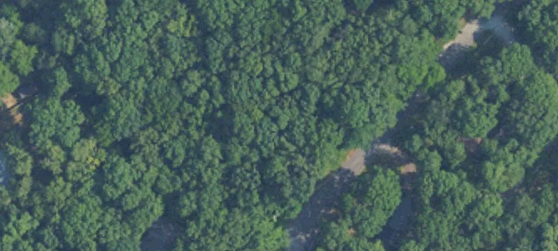 Treed Residential Building Lot