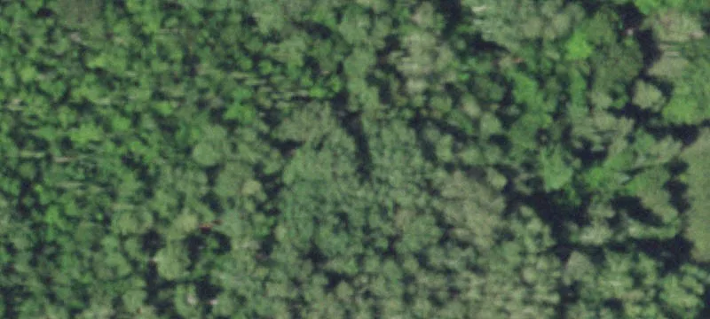 Partially Cleared Buildable Land