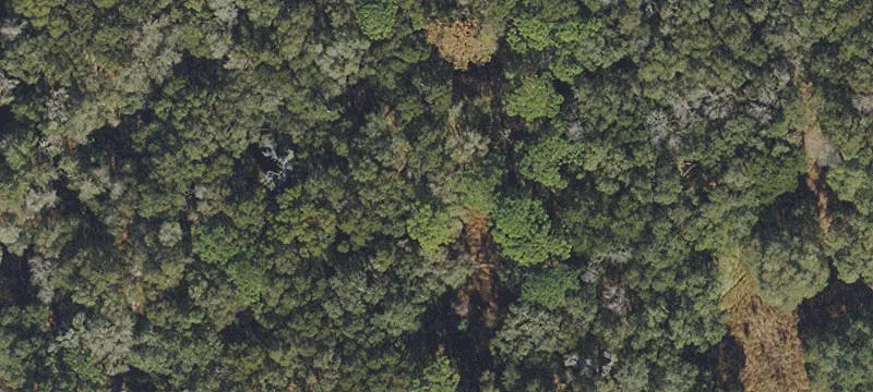 Residential Land Lot