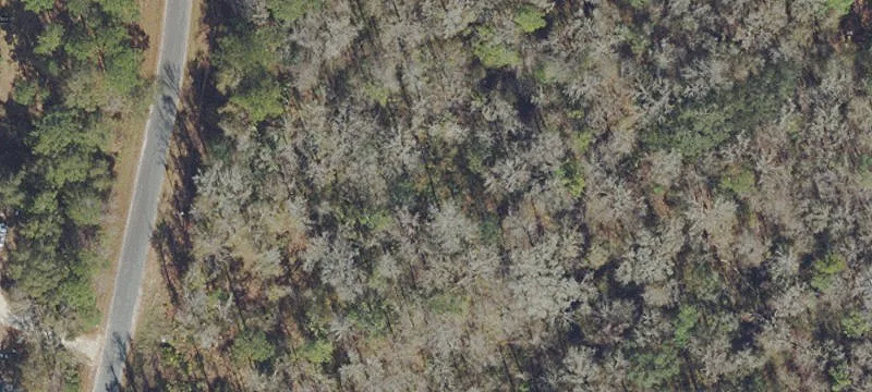 Wooded Residential Land Lot