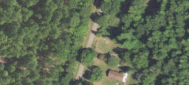 Timber Hunting and Recreation Land