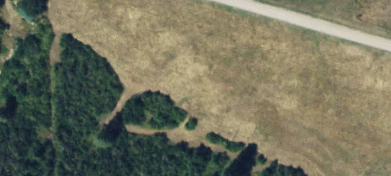 Hunting Land with Forest Access