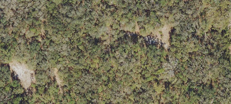 Agricultural Land Tract with Road Frontage