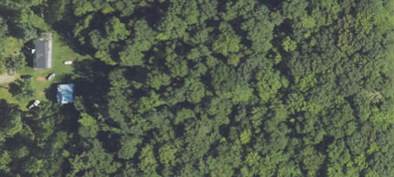 Wooded Hunting and Recreation Land