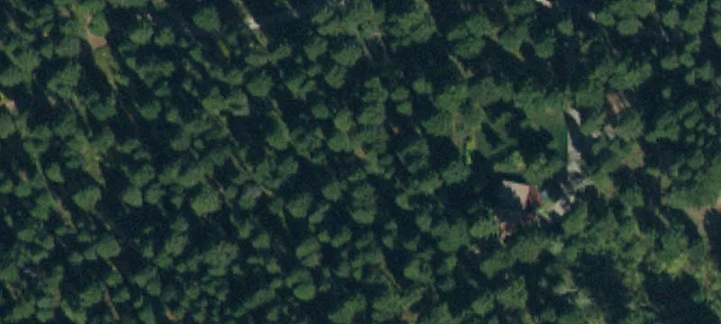 Wooded Hunting Land Parcel