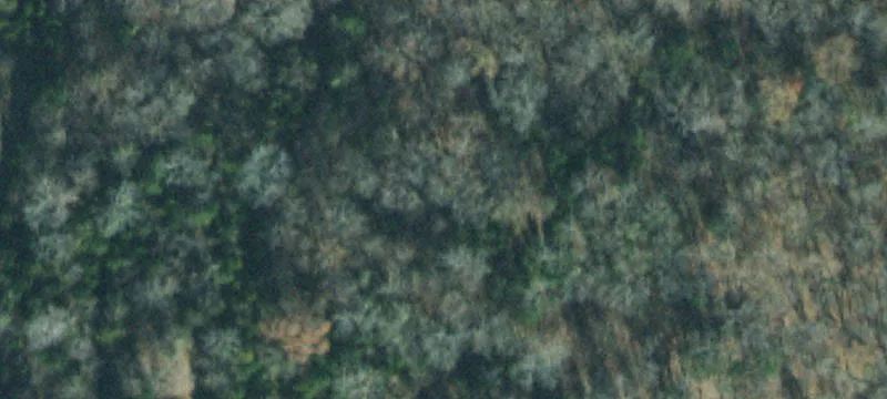 Farm Property with Two Residences