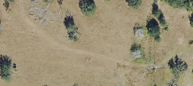 Partially Cleared Development Land
