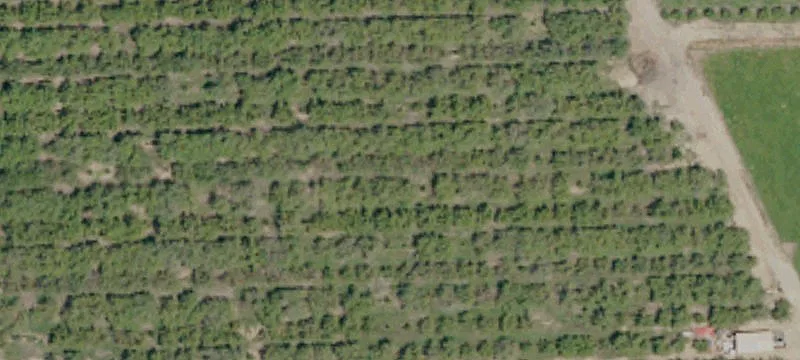 Agricultural Land Parcel