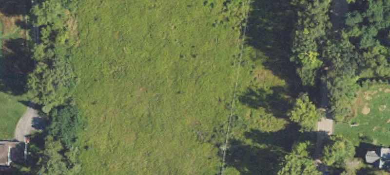 Vacant Land Parcel with Wooded Privacy