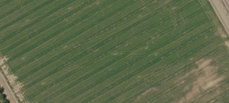 Cherry Orchard Farm