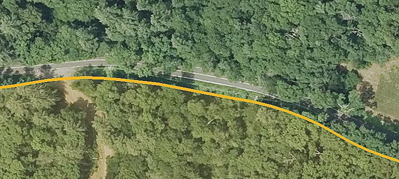 Wooded Building Lot