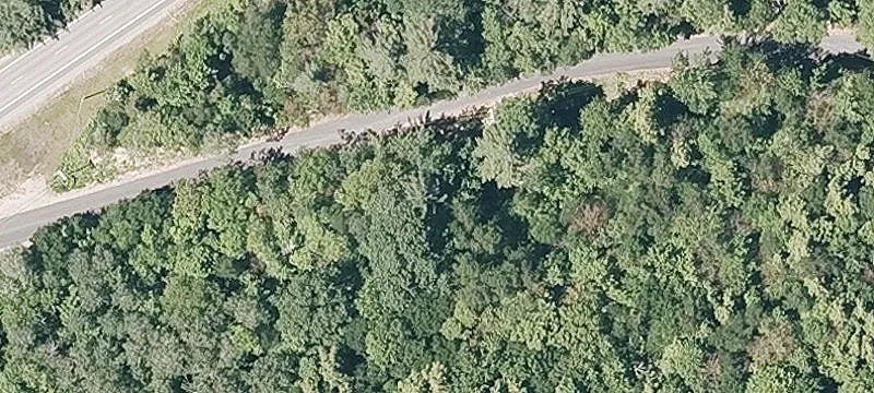 Recreational Homesite with Forest Buffer