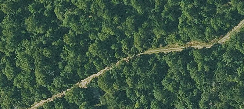 Wooded Recreation Land Lot
