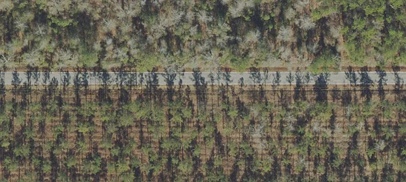 Hunting and Recreational Land