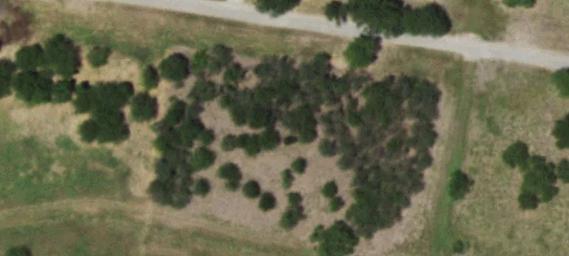 Hilltop Ranch Property