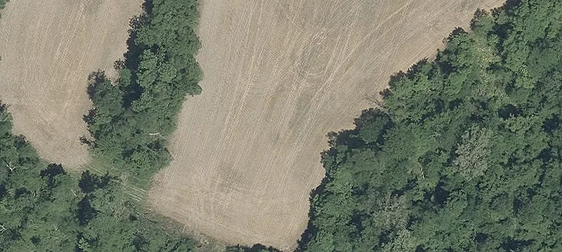 Agricultural Land For Sale