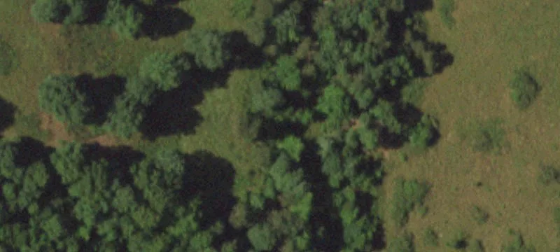 Fenced Cattle Farm with Multiple Barns