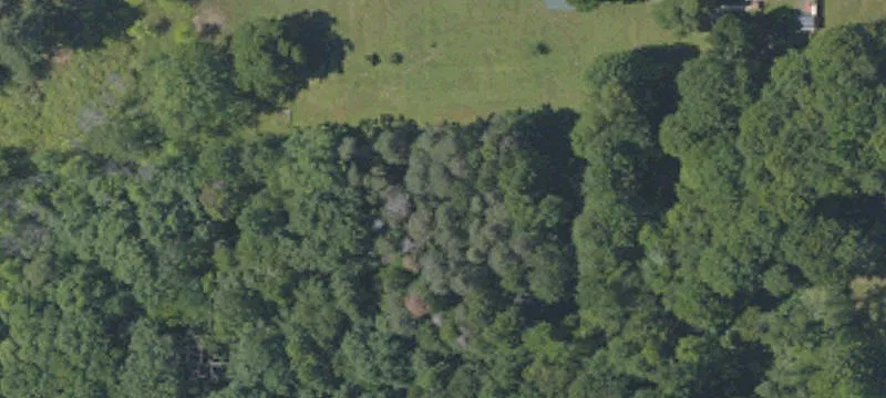 Wooded Building Lot