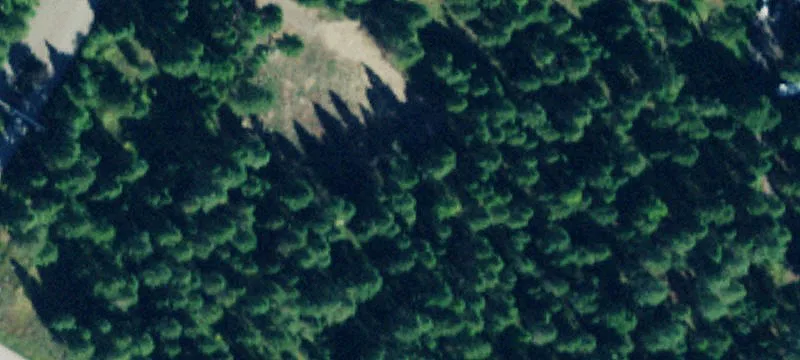Forested Land Parcel with Lake Access