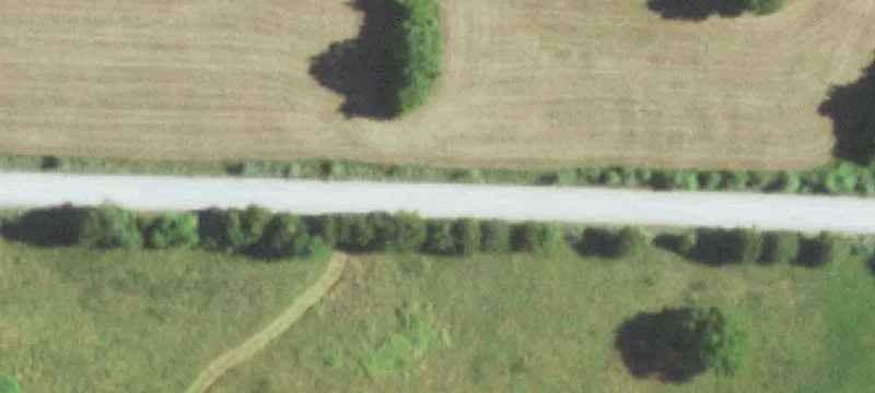 Wooded Recreational Acreage