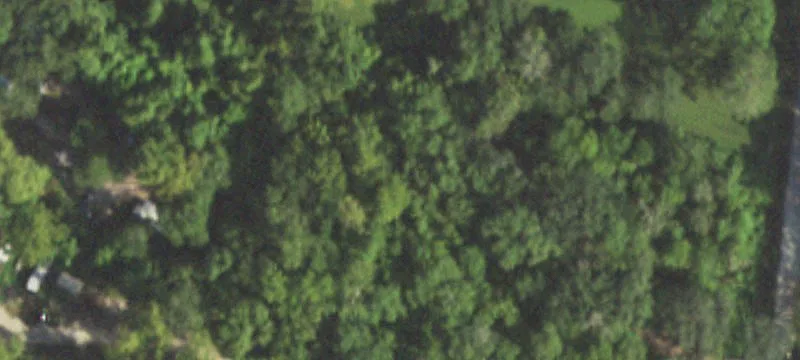 Acreage Tract with Mature Trees
