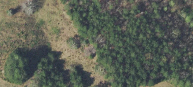 Agricultural Land Tract