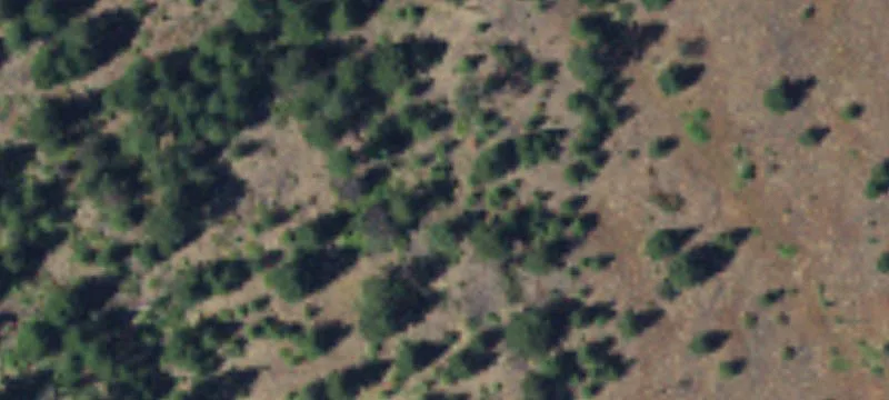 Riverfront Agricultural Land Tract