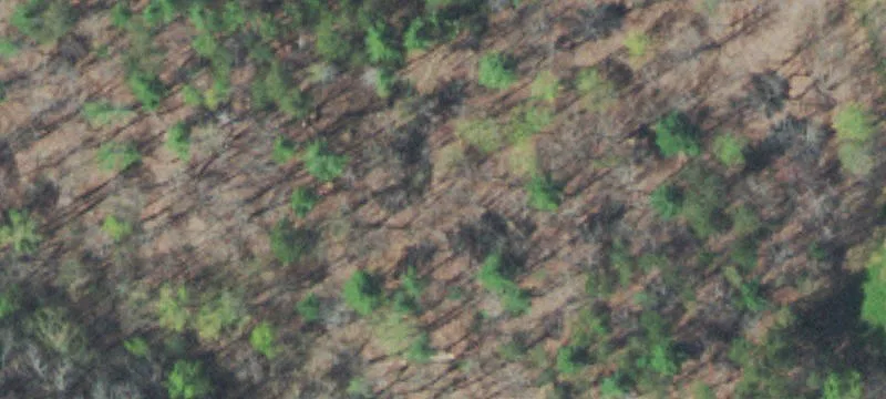 Unrestricted Recreational Land Tract