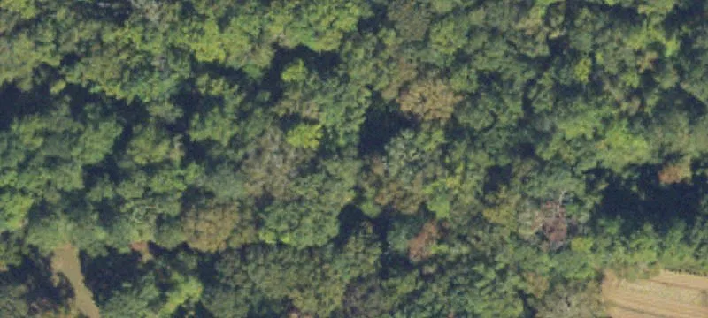 Wooded Acreage with Road Frontage