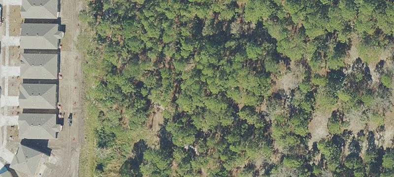 Wooded Commercial Development Land