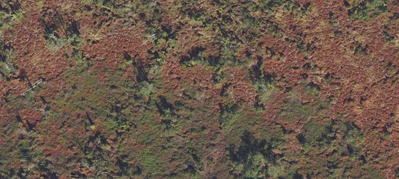 Muck Farmland and Home Site Land