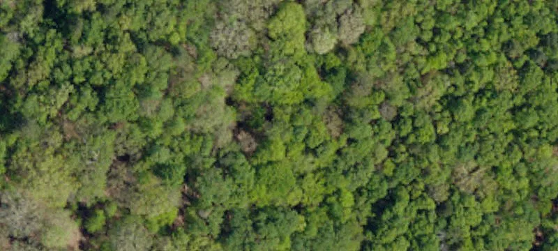 Wooded Residential Land Parcel